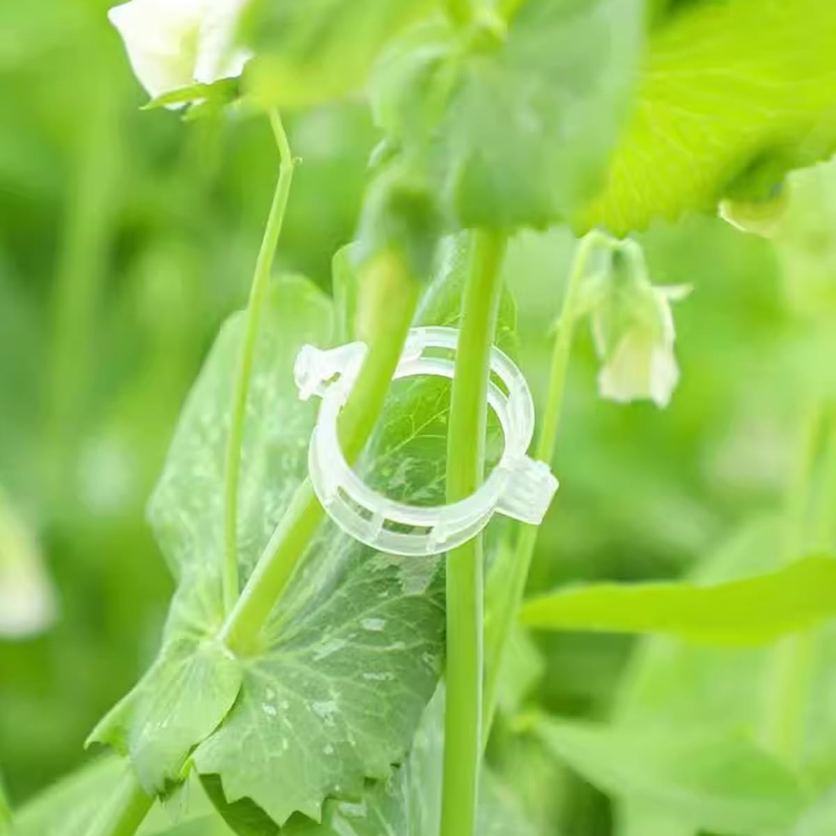 GXXMEI 302PCS Plastic Plant Support Clips for Tomato Vine, Vegetables, Garden