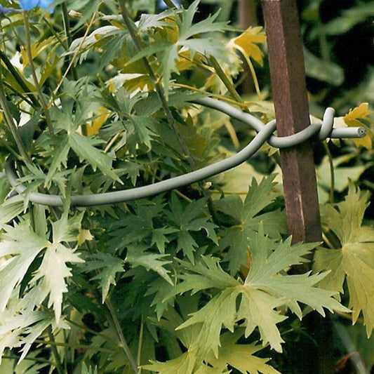 Tierra Garden Plant Tie - Original Soft Tie, Flexible Rubber Ties for Plants - 16.4 ft - Green Rubber