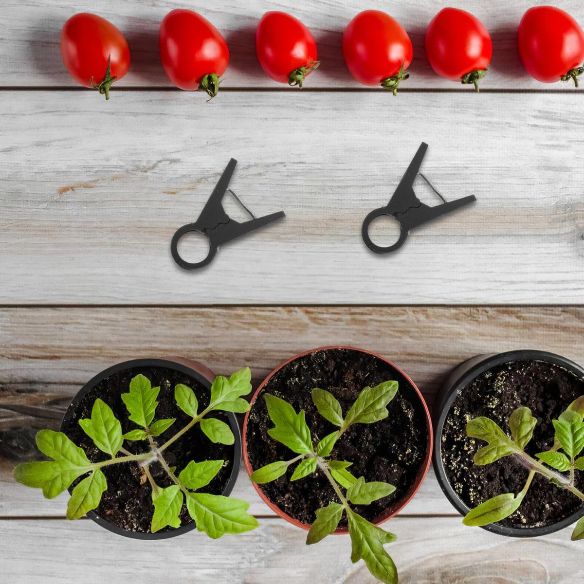 FAVOMOTO 100PCS Plant Support Clips, Plastic Thickened Stems Vines Plant Clamps Tomato Clips Upright Climbing Tool for Garden Supporting Vine Climbing