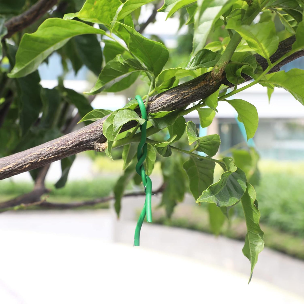 KINGLAKE GARDEN Soft Plant Ties for Support Plant Wire 3.5mm 65.6 Feet