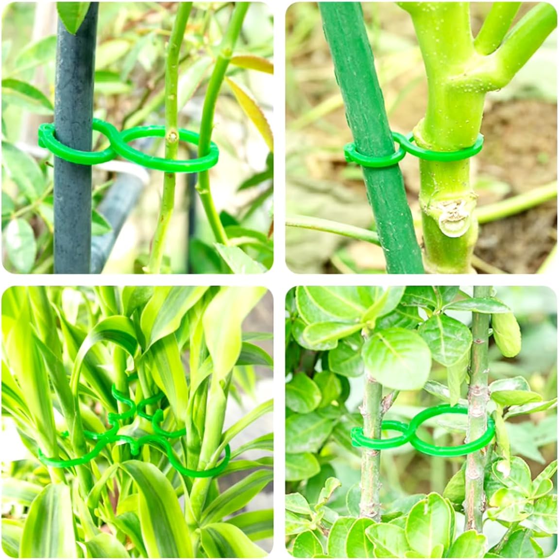 GXXMEI 200PCS Tomato Clips for Support Plant Clips Garden Clips for Climbing Plants Tomato Plant Clips Plant Support Clips for Gardening for Securing Plants
