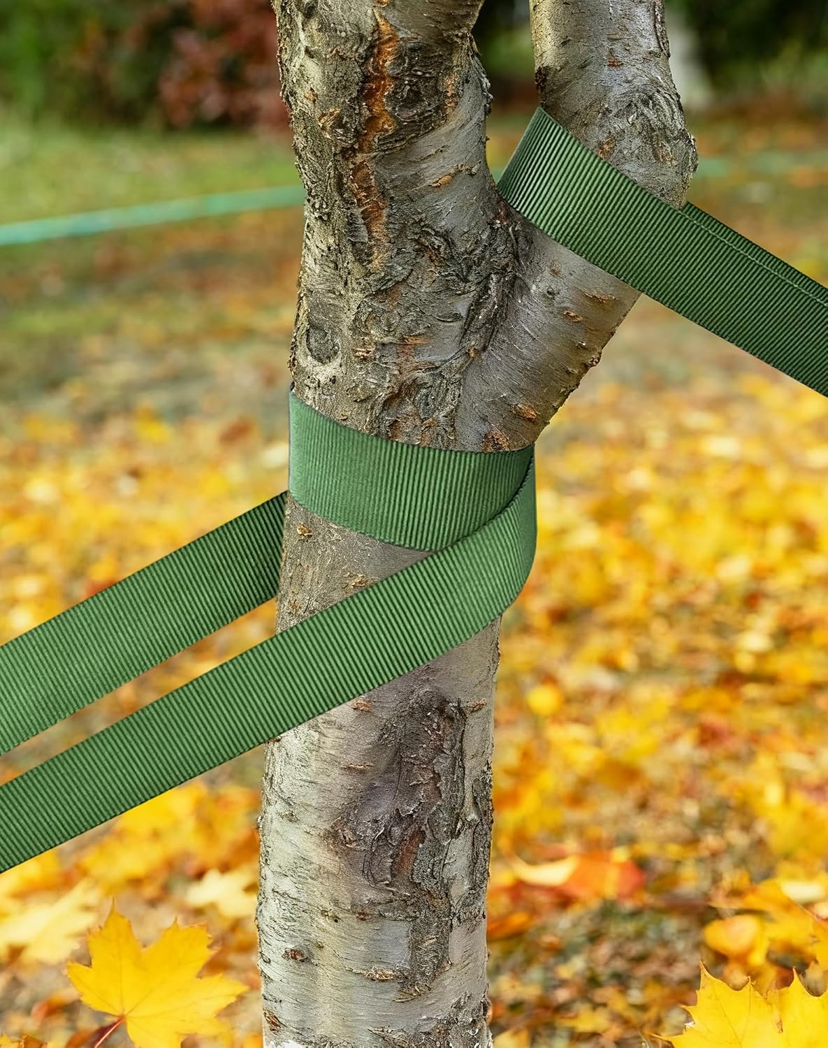 Tree Straps & Accessories - Heavy Duty 1Inch Polyester Webbing, 1800LB | All-Weather Tree Swing Strap, Tether & Plant Ties | Protective Wraps to Protect Bark