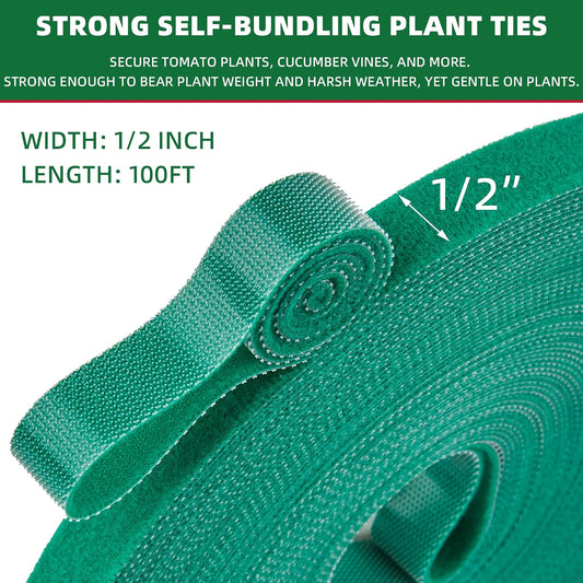 100 ft x 1/2 inch Reusable Plant Ties Roll for Indoor & Outdoor Plants, Non-Toxic Soft Garden Ties, Cut-to-Length Nylon Ties, Gentle Support for Climbing Plants, Tomato Peppers & Vines, Green