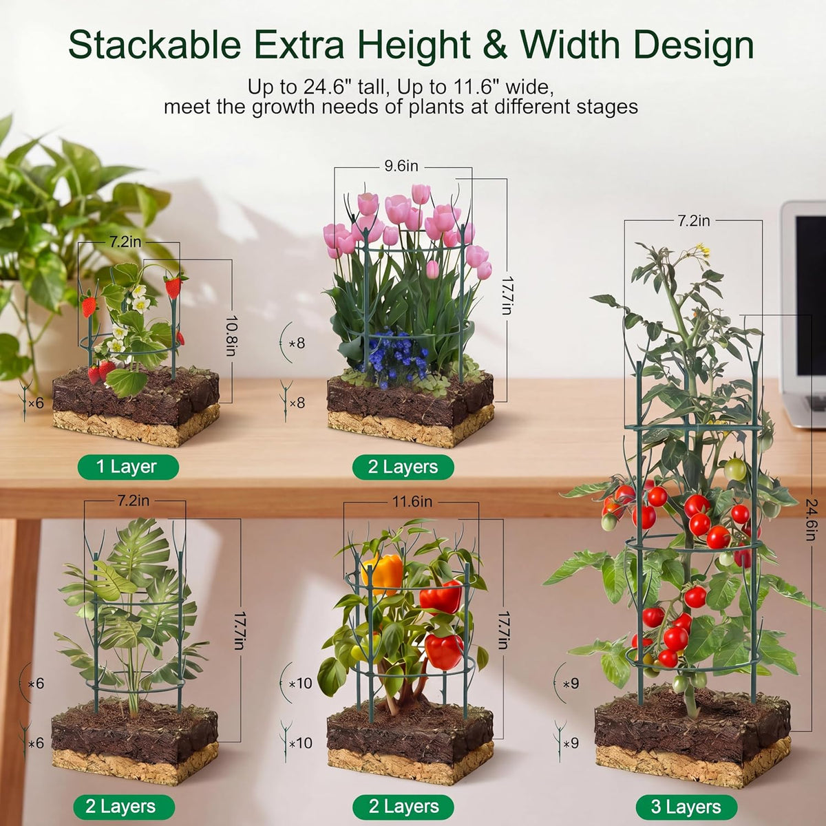 Little World Plant Stakes for Indoor Plants with Trellis & Clips