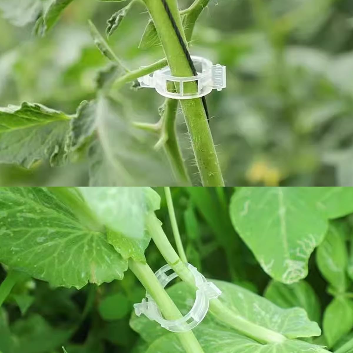 GXXMEI 302PCS Plastic Plant Support Clips for Tomato Vine, Vegetables, Garden