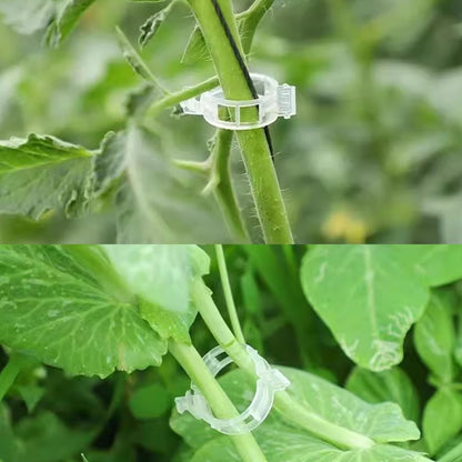GXXMEI 302PCS Plastic Plant Support Clips for Tomato Vine, Vegetables, Garden