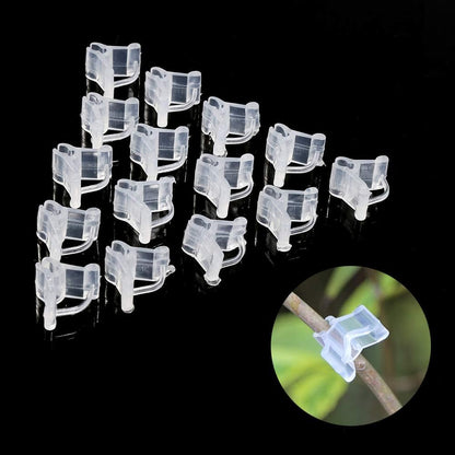 100Pcs Special Plant Grafting Clip, Tomato Seedling Grafting Clip Eggplant Grafting Clamp Mini Transparent Flower Plants Grafting Clips for Plants