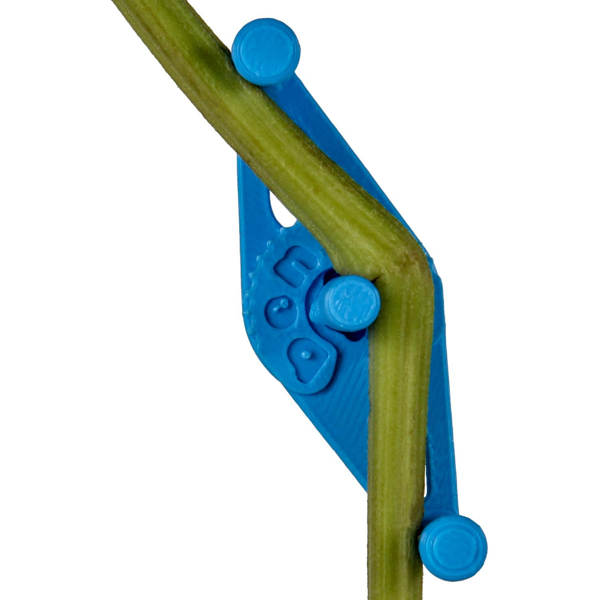 Bendies LST Plant Training Clips 50 Pack Green - v2.0 Adjustable Low Stress Green Support Clips for Stem Bending, Grow Tent, Plant Ties & Gardening Accessories