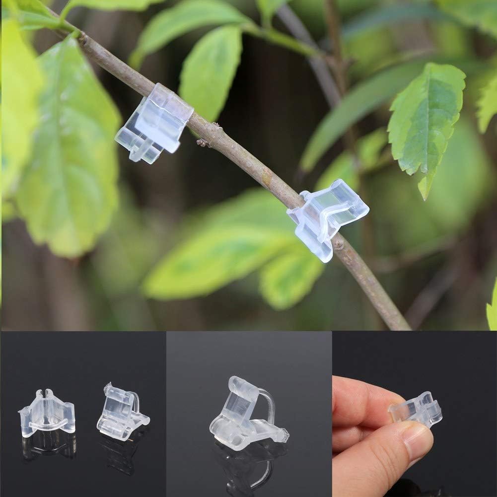 100Pcs Special Plant Grafting Clip, Tomato Seedling Grafting Clip Eggplant Grafting Clamp Mini Transparent Flower Plants Grafting Clips for Plants