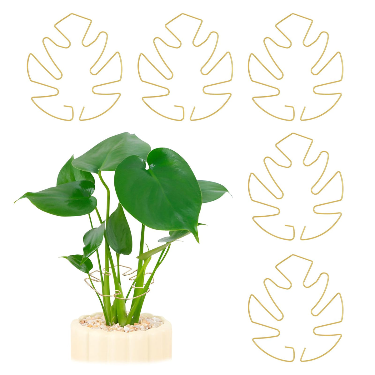 5PCS Iron Monstera Plant Support, Plant Stem Support, Turtle Shell Bamboo Clamp Set, Stable Plant Support Stakes for Indoor Plant, Ideal Present for Plant Lovers (5 Pcs-4.1INX4.1IN)