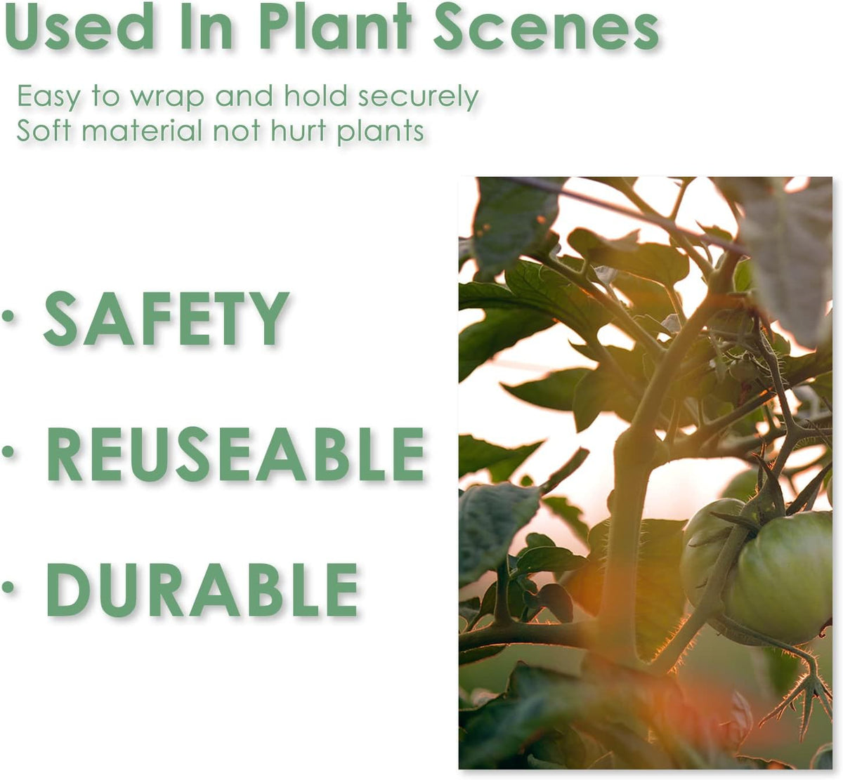 Garden Tie Green Tape, Plant Supports, Gentle On Plants (32.8ft × 0.6 inch, 3 Rolls, Green)