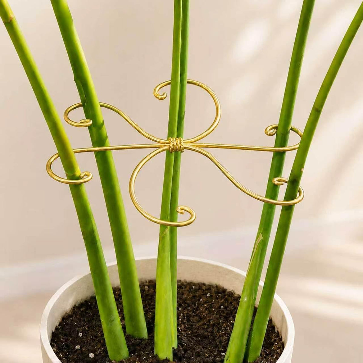 Yohsnor 5PCS Monstera Plant Support Hook - 4.1 * 4.4IN Stem Holder