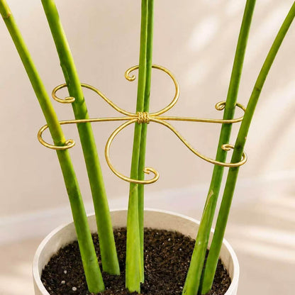 Yohsnor 5PCS Monstera Plant Support Hook - 4.1 * 4.4IN Stem Holder