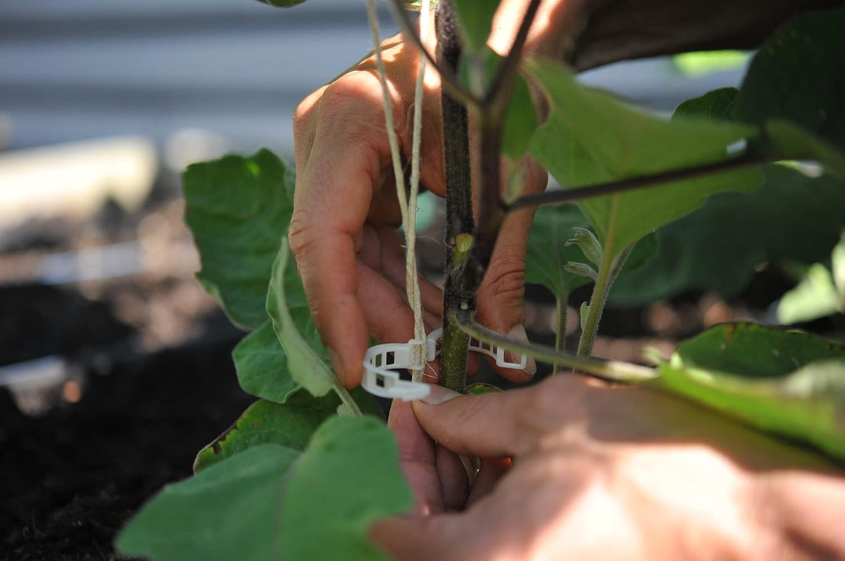 Compostable Trellis Clips (Compostable, 100, Units)