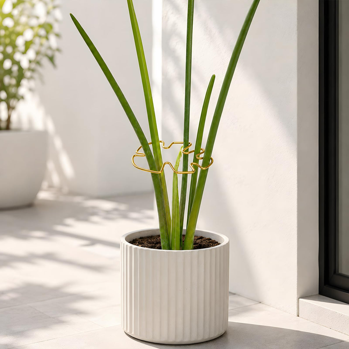 Yohsnor 5PCS Monstera Plant Support Hook - 4.1 * 4.4IN Stem Holder