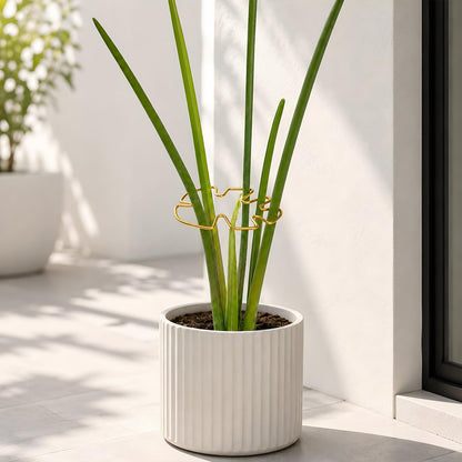 Yohsnor 5PCS Monstera Plant Support Hook - 4.1 * 4.4IN Stem Holder