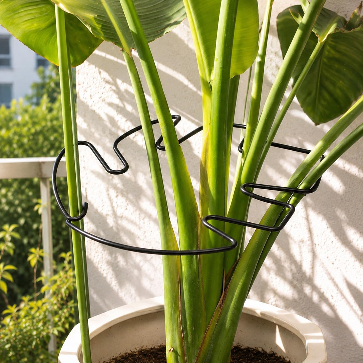 Yohsnor 5PCS Monstera Plant Support Hook - 4.1 * 4.4IN Stem Holder