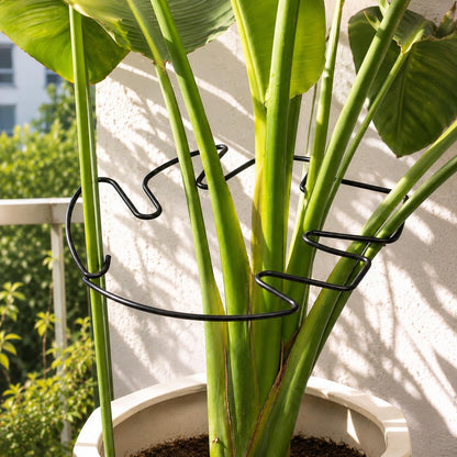 Yohsnor 5PCS Monstera Plant Support Hook - 4.1 * 4.4IN Stem Holder