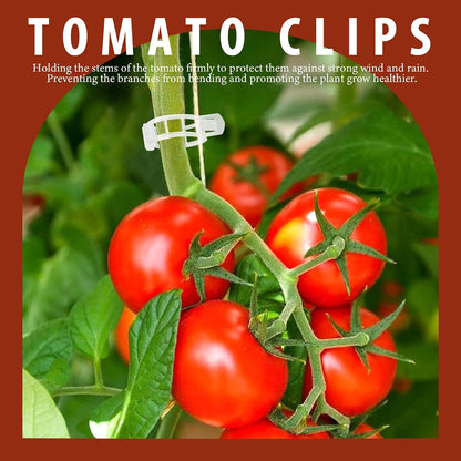 FANDAMEI 300 PCS Plant Support Clips, Plastic Garden Plant Ties, Tomato Clips Trellis for Tomato Cucumber Flower Squash Vine, 1” Inner Diameter for Climbing Plants