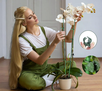 165Pcs Adjustable Plant Support Stake for Potted Plant Flower Tomato Orchid