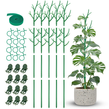 NiHome 50" Plant Support Stakes 5-Pack for Indoor & Outdoor Climbing Plants