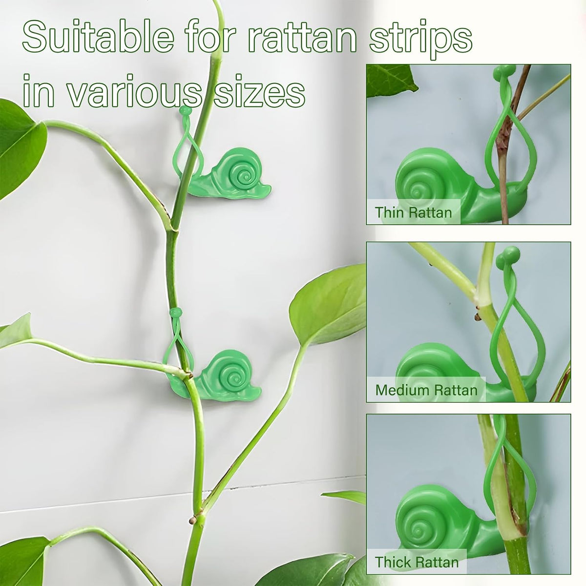 30 Pack Creative Snail Shaped Plant Climbing Wall Fixture Clips