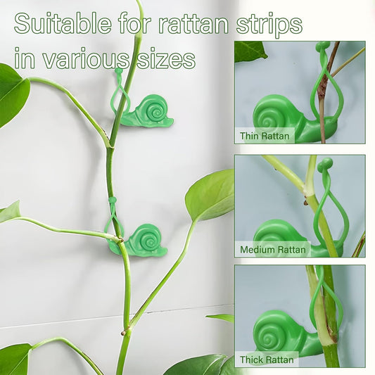 30 Pack Creative Snail Shaped Plant Climbing Wall Fixture Clips