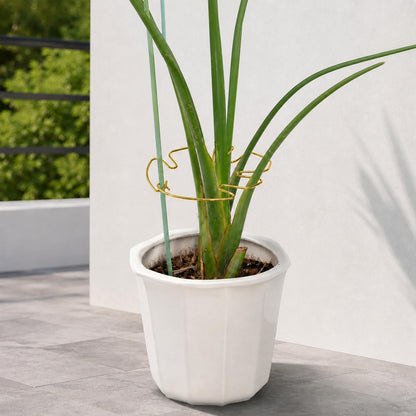 Yohsnor 5PCS Monstera Plant Support Hook - 4.1 * 4.4IN Stem Holder
