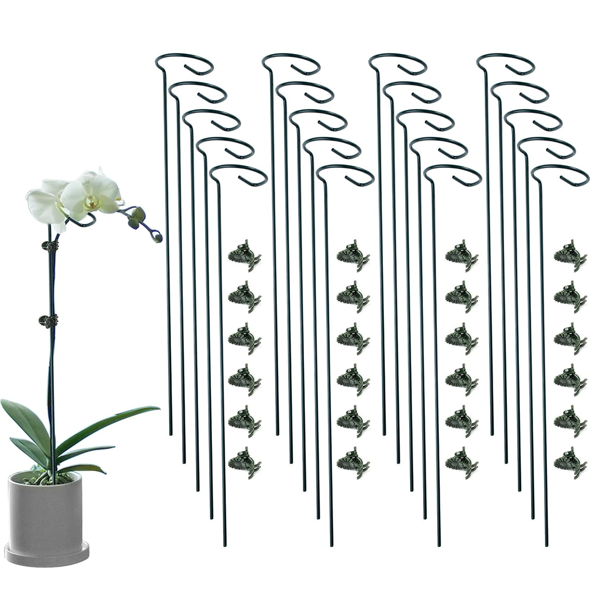 12 Pack Plant Support Stakes with 24 Pcs Plant Clips, Garden Single Stem Support Stake, Plant Cage Support Ring for Indoor Outdoor Flowers Rose Amaryllis Tomatoes Peony Lily Orchid (16 Inch)