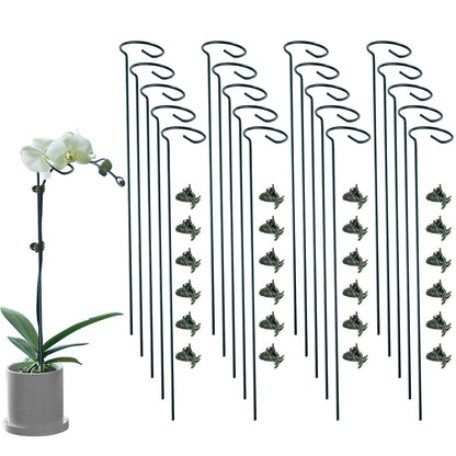 12 Pack Plant Support Stakes with 24 Pcs Plant Clips, Garden Single Stem Support Stake, Plant Cage Support Ring for Indoor Outdoor Flowers Rose Amaryllis Tomatoes Peony Lily Orchid (16 Inch)