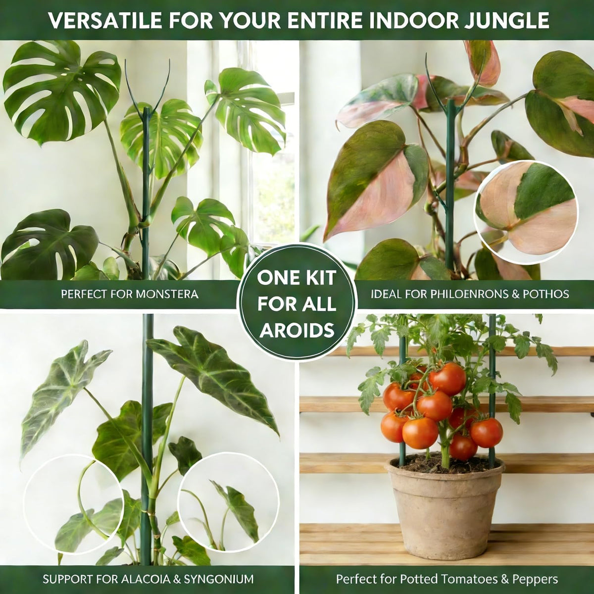 Tree Branch Plant Support Stakes – Stackable Plant Support Sticks with Clips & Velcro Tie – Natural Aesthetic Extendable Trellis for Indoor Plants, Monstera, Pot (Green-6 Pack)