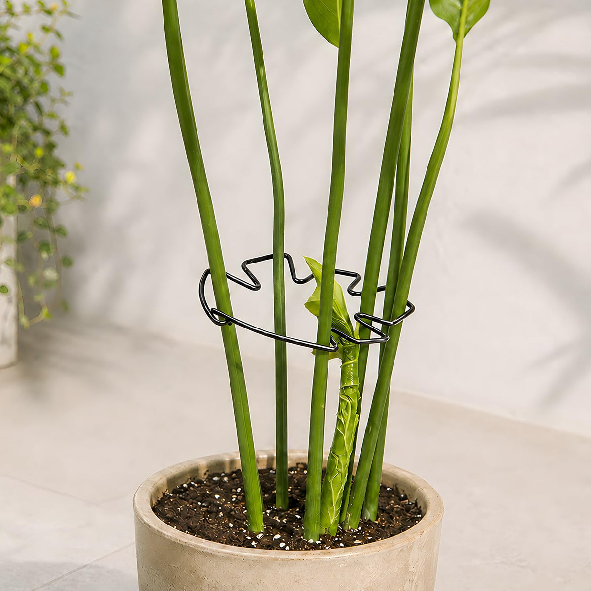 Yohsnor 5PCS Monstera Plant Support Hook - 4.1 * 4.4IN Stem Holder