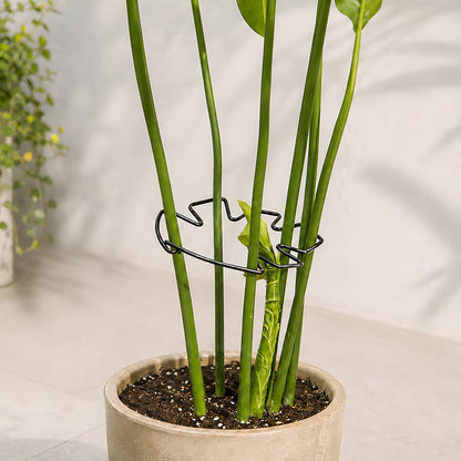 Yohsnor 5PCS Monstera Plant Support Hook - 4.1 * 4.4IN Stem Holder