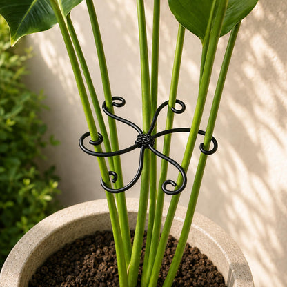 Yohsnor 5PCS Monstera Plant Support Hook - 4.1 * 4.4IN Stem Holder