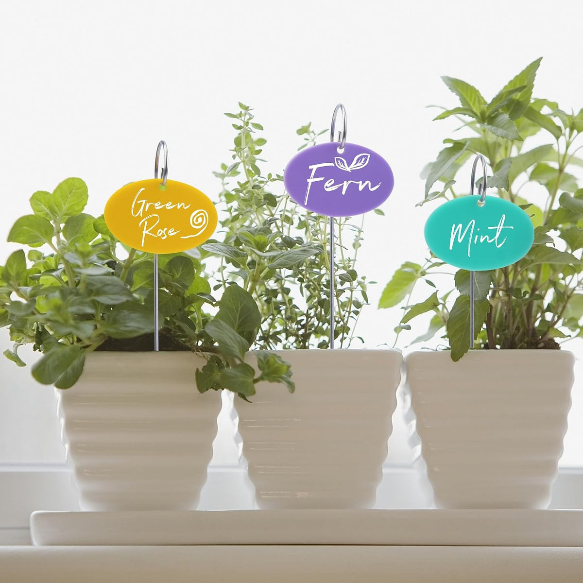 Temlum Acrylic Plant Labels for Indoor & Outdoor Plants, Multicolor 25pcs