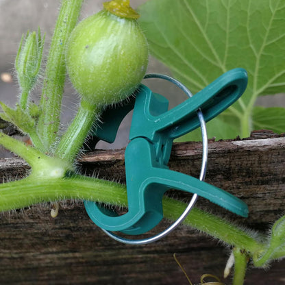 Plant Support Clips, 80 PCS, 2 Sizes