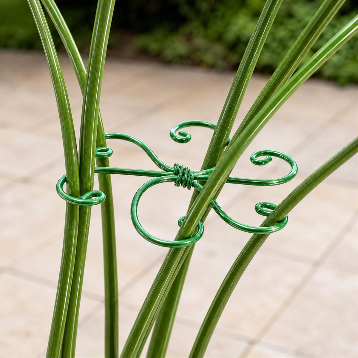 Yohsnor 5PCS Monstera Plant Support Hook - 4.1 * 4.4IN Stem Holder