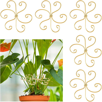 5 Pcs Plant Stem Support, Iron Monstera Plant Support, Durable Hook Stem Supports for Healthy Growth, Bamboo Clamp Set for Leaf Stabilization and Support, Ideal Present for Plant Lovers (5.5IN*5.5IN)