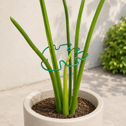 Yohsnor 5PCS Monstera Plant Support Hook - 4.1 * 4.4IN Stem Holder