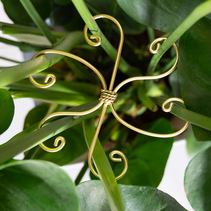Yohsnor 5PCS Monstera Plant Support Hook - 4.1 * 4.4IN Stem Holder