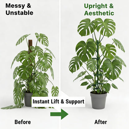 Tree Branch Plant Support Stakes – Stackable Plant Support Sticks with Clips & Velcro Tie – Natural Aesthetic Extendable Trellis for Indoor Plants, Monstera, Pot (Green-6 Pack)