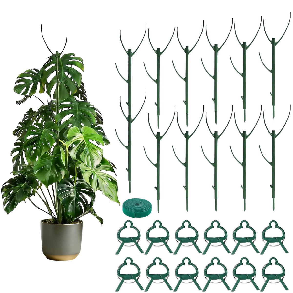 Tree Branch Plant Support Stakes – Stackable Plant Support Sticks with Clips & Velcro Tie – Natural Aesthetic Extendable Trellis for Indoor Plants, Monstera, Pot (Green-12 Pack)