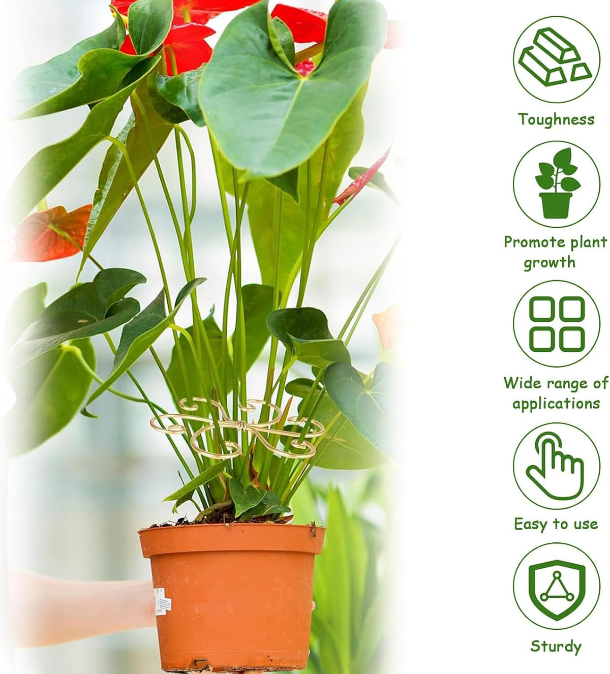 5 Pcs Plant Stem Support, Iron Monstera Plant Support, Durable Hook Stem Supports for Healthy Growth, Bamboo Clamp Set for Leaf Stabilization and Support, Ideal Present for Plant Lovers (5.5IN*5.5IN)