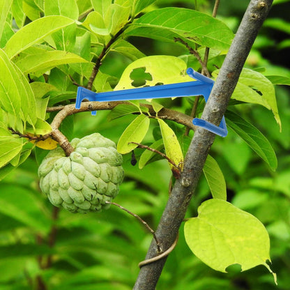 Mipcase Fruit Tree Branch Spreader Set Adjustable Plastic Limb Spreaders for Gardening Enhance Sunlight Exposure and Branch Growth Support