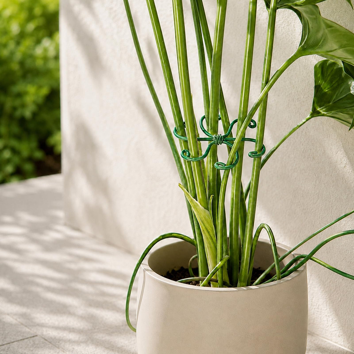 Yohsnor 5PCS Monstera Plant Support Hook - 4.1 * 4.4IN Stem Holder
