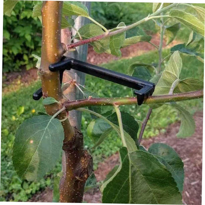 LIOOBO 25Pcs Plant Branches Bending Clamps for Pear Small Branches