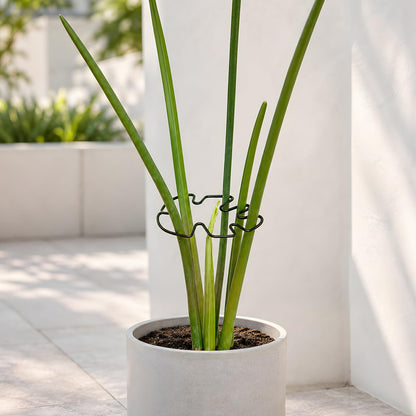 Yohsnor 5PCS Monstera Plant Support Hook - 4.1 * 4.4IN Stem Holder