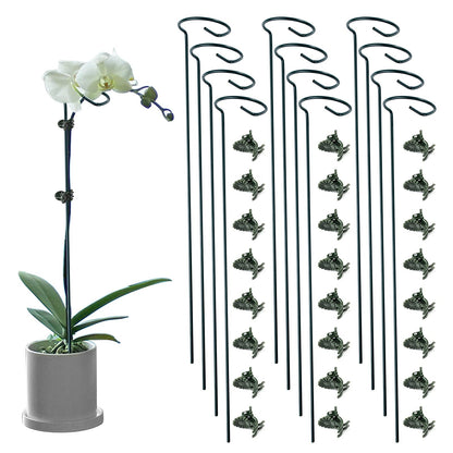 12 Pack Plant Support Stakes with 24 Pcs Plant Clips, Garden Single Stem Support Stake, Plant Cage Support Ring for Indoor Outdoor Flowers Rose Amaryllis Tomatoes Peony Lily Orchid (16 Inch)