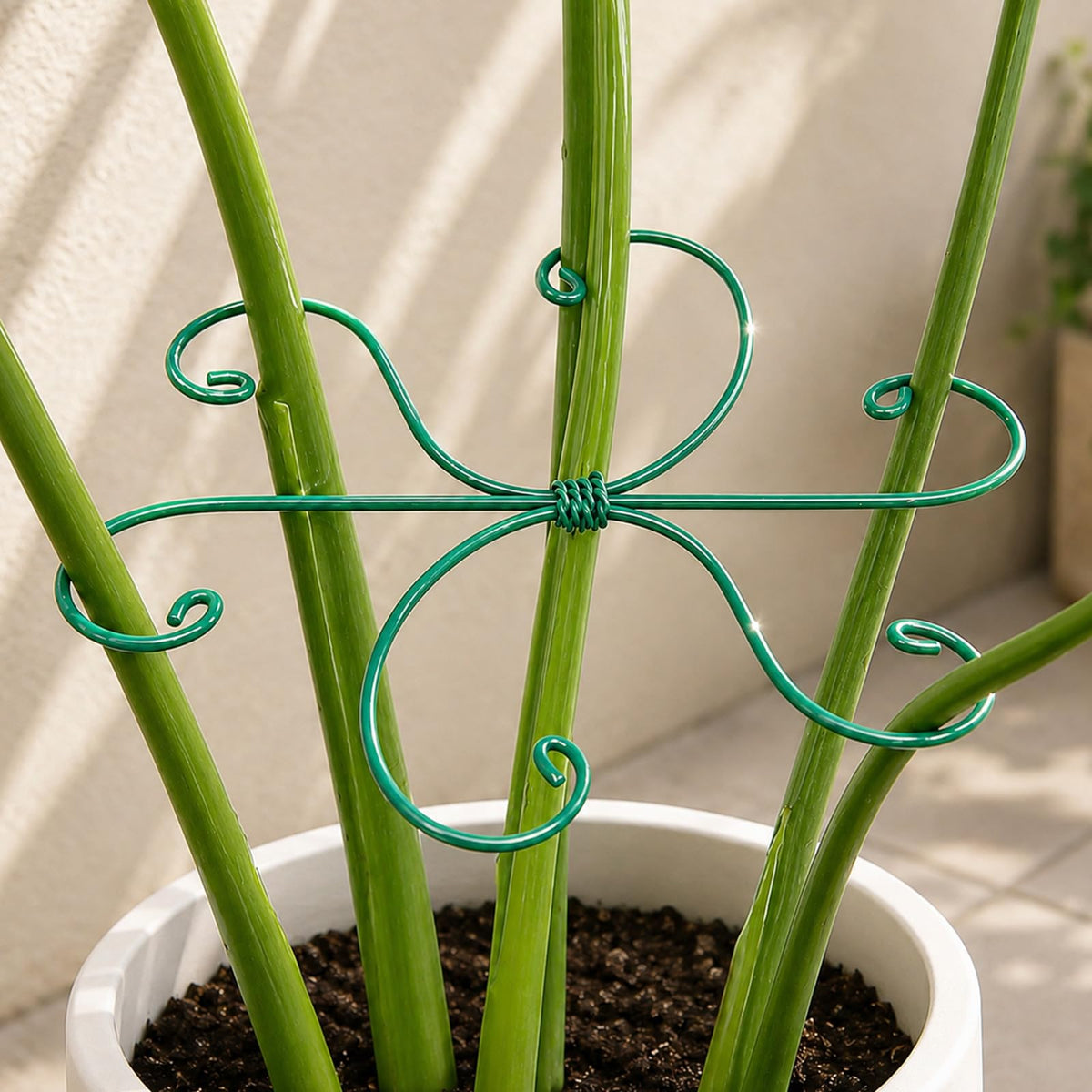 Yohsnor 5PCS Monstera Plant Support Hook - 4.1 * 4.4IN Stem Holder