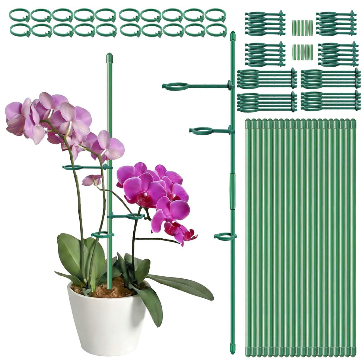 24 Pcs Adjustable Plant Support Stakes Kit for Indoor Plants, 12 Inch Orchid Sticks and Clips Set Bendable Single Stem Support Sticks, Small Plant Stakes for Garden Potted Plants Orchid Rose Peony
